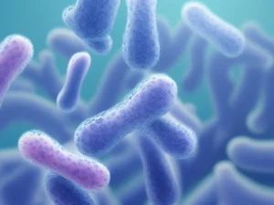 益生菌是什麼？專家解析7大益生菌功效與對身體的好處