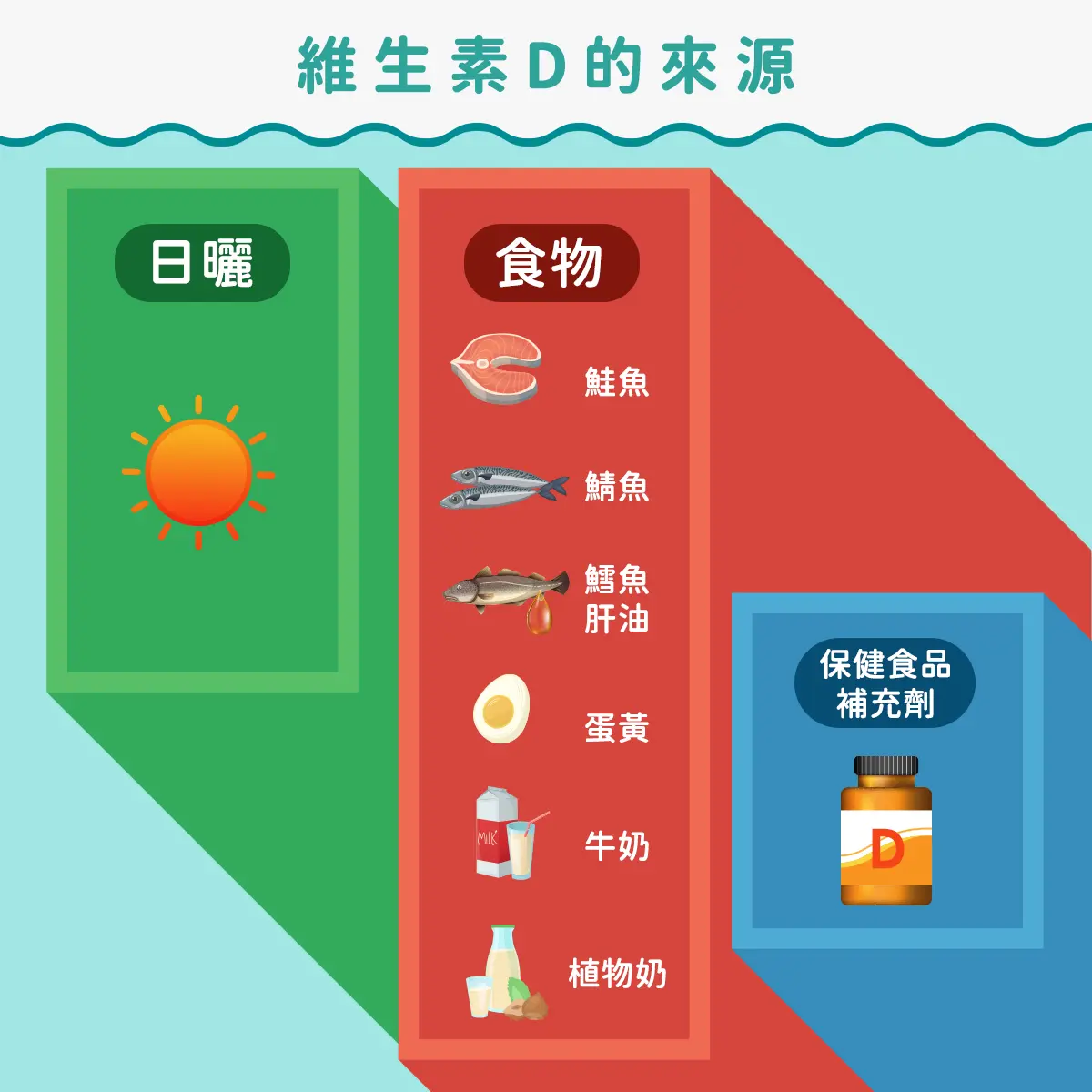 維生素D的來源