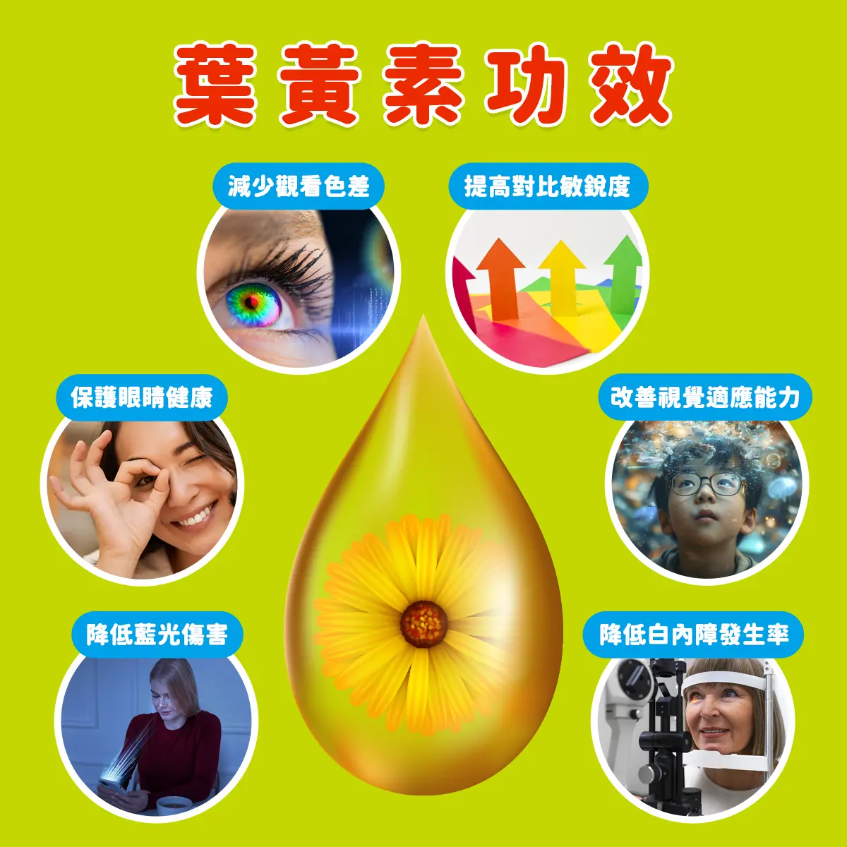 葉黃素功效