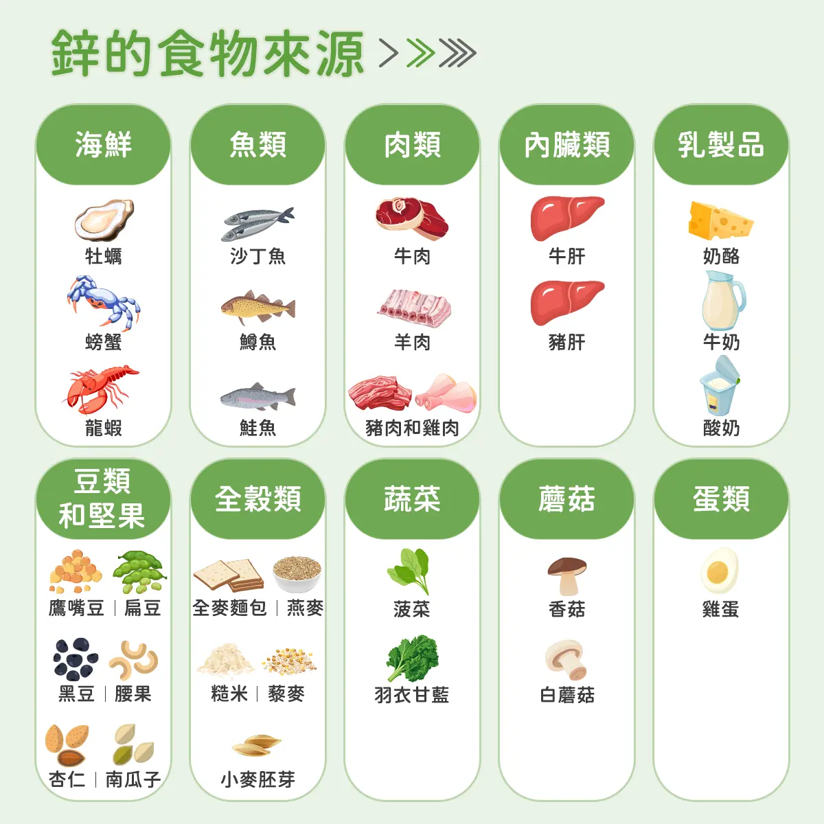鋅的食物來源